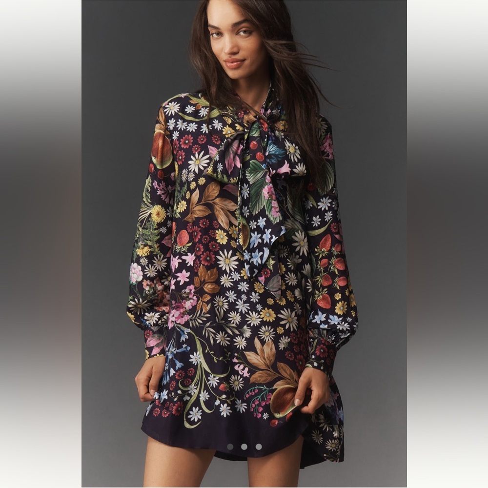 NWT Anthropologie dress